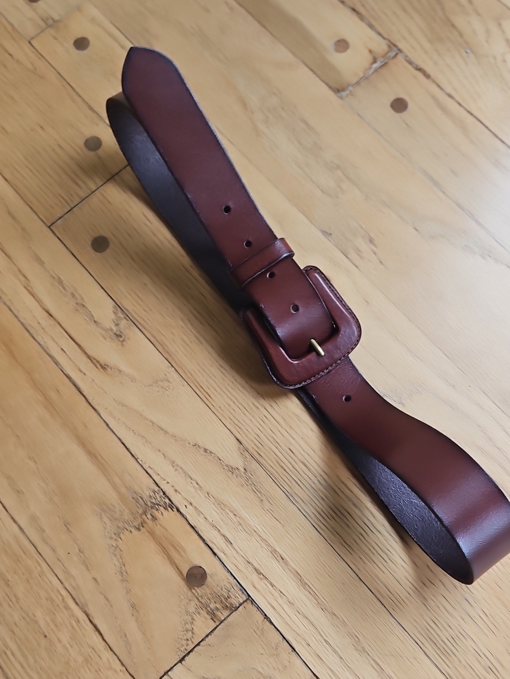 Classic Brown Leather Belt - FRYE